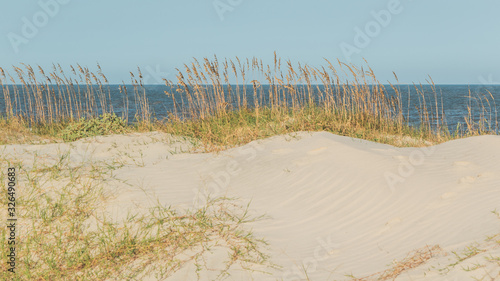 Sand dunes overlooking the ocean on a sunny day on Jekyll Island, Georgia.