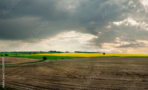 agricultural farming land at early spring and tree with sun rays, between clouds