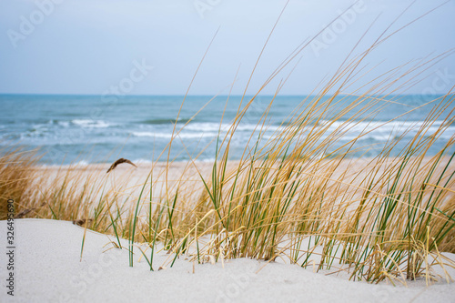 Fototapeta Naklejka Na Ścianę i Meble -  Rough sea with waves in autumn or winter, sandy beach with reeds and dry grass