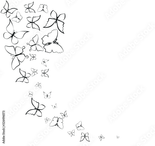 silhouette,beautiful butterflies, isolated on a white