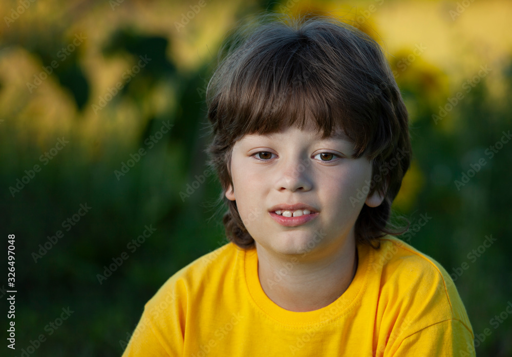6 years old boy portraits in summer afternoon 6 years old boy portraits in summer afternoon