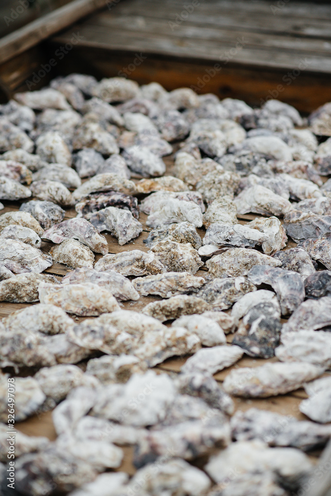 Oyster shells in a wooden cart.