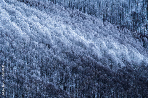 Fototapeta Naklejka Na Ścianę i Meble -  Stunning mountain landscape. Bieszczady Mountains. Poland.