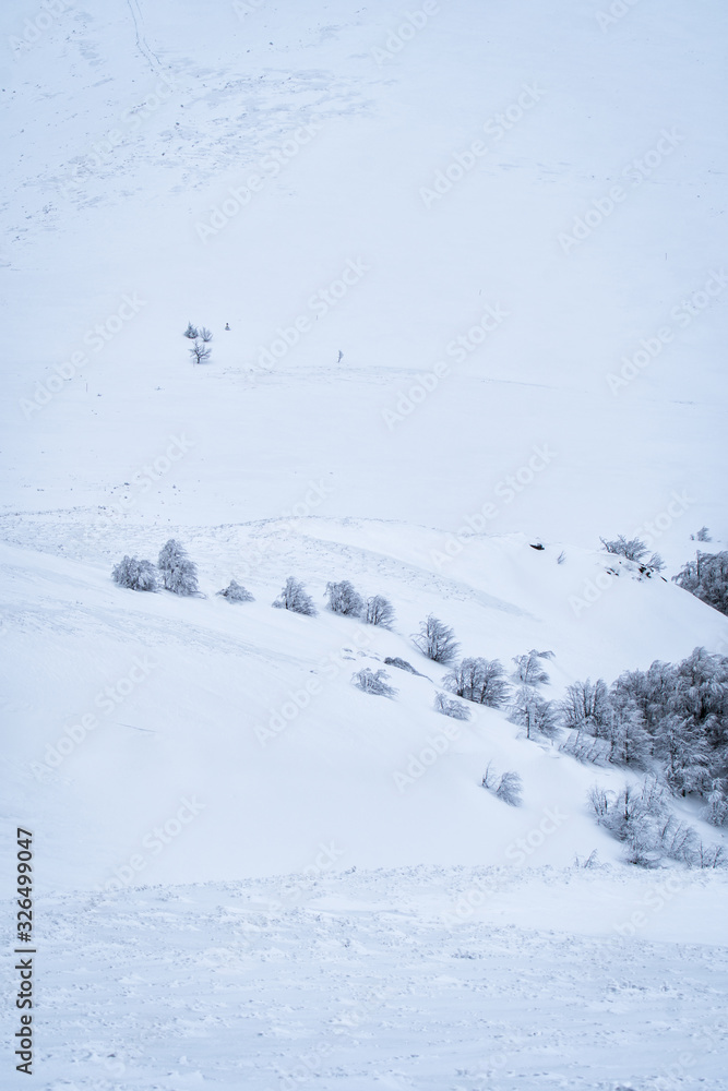 Stunning mountain landscape. Bieszczady Mountains. Poland.