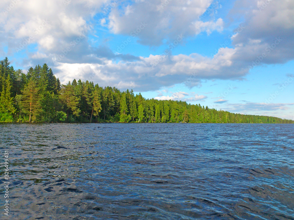 Beautiful summer landscape of the water surface of a coniferous forest shoreline lake