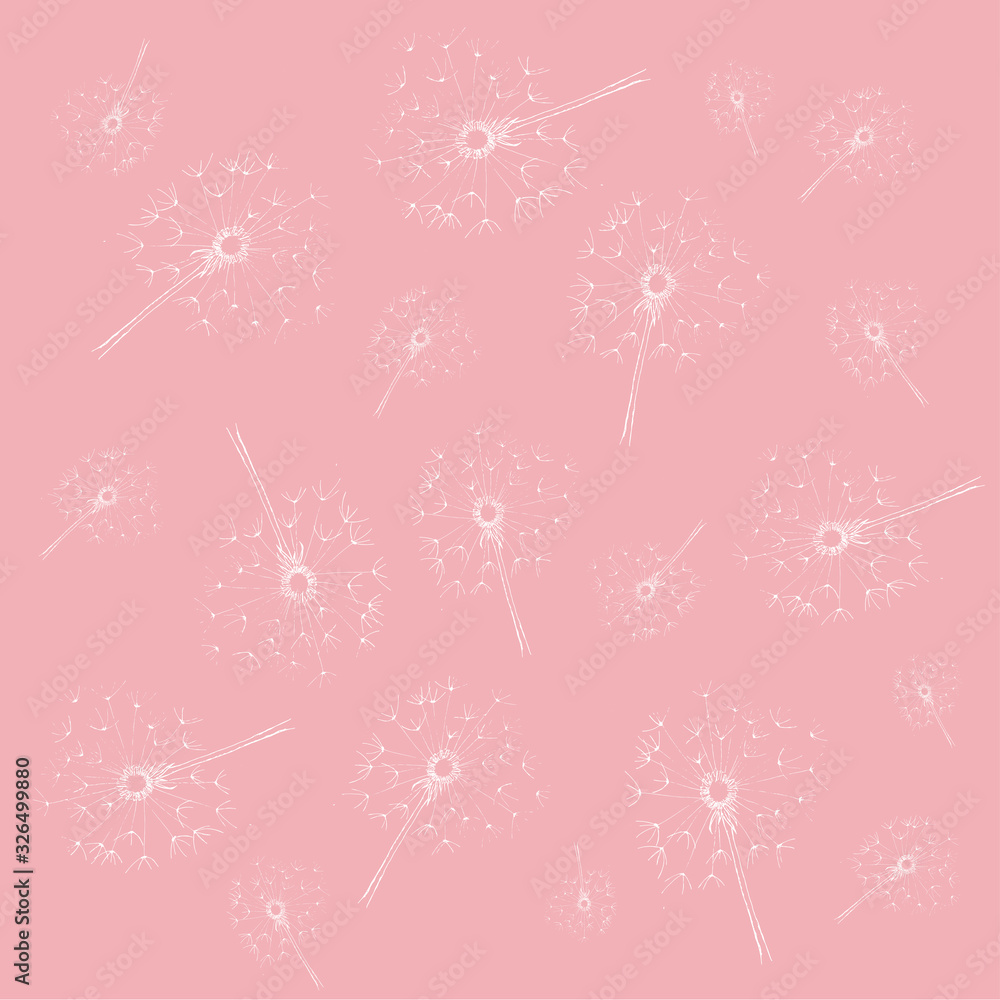 Dandelion - hand drawing illustration for print on fabric, textile, packing paper, wallpaper, stationery, logo, branding. Vector stock illustration isolated on pastel pink background. EPS 10
