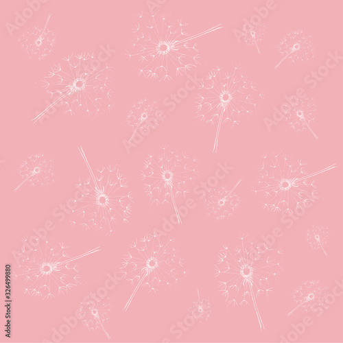 Dandelion - hand drawing illustration for print on fabric, textile, packing paper, wallpaper, stationery, logo, branding. Vector stock illustration isolated on pastel pink background. EPS 10