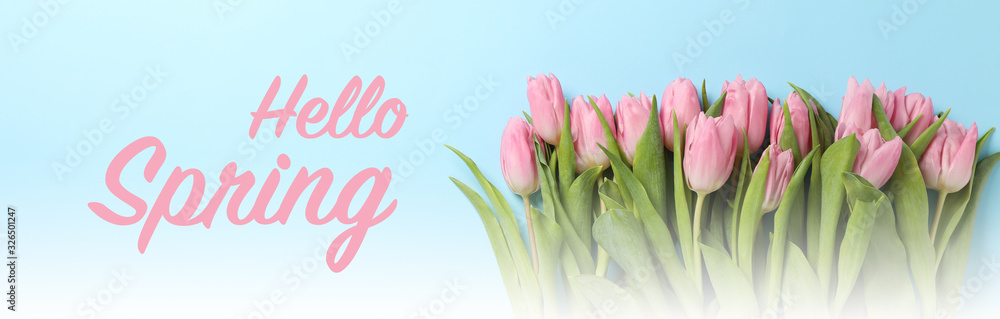 Inscription Hello spring and tulips on blue background