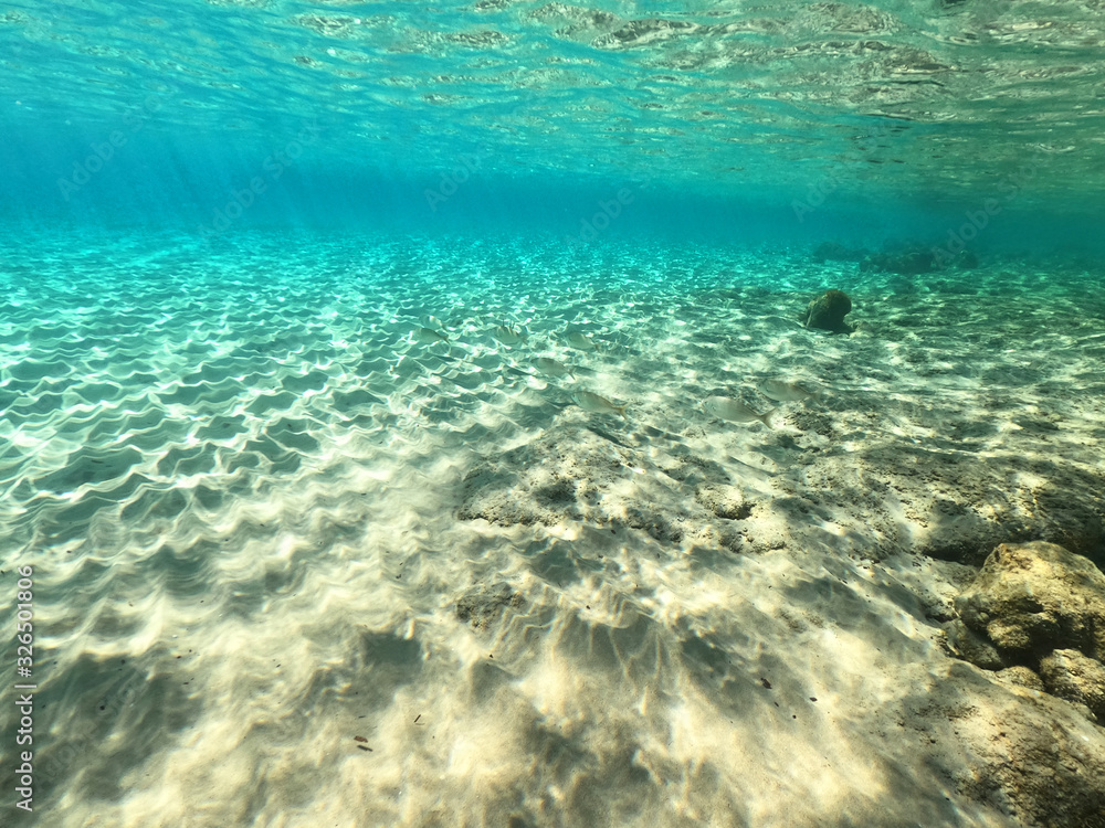 Fototapeta Beautiful underwater split above and below photo of rocky seascape with deep blue sky in tropical exotic island destination