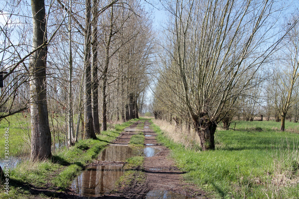 path in the park