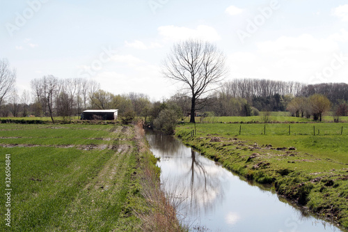  landscape with a stream with the reflection of a tree in it