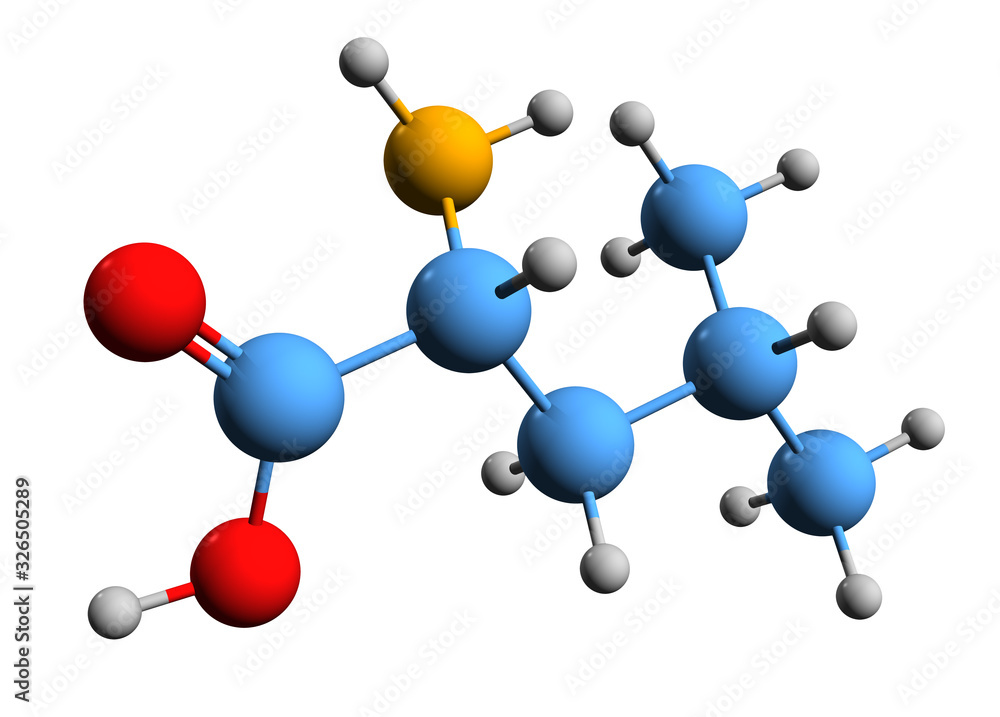 3D image of leucine skeletal formula - molecular chemical structure of essential amino acid isolated on white background 3D image of leucine skeletal formula - molecular chemical structure of essential amino acid isolated on white background