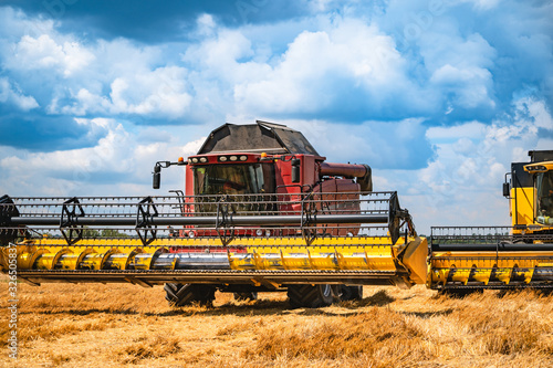 Wallpaper Mural Grain harvesting combine in a sunny day. Yellow field with grain. Agricultural technic works in field. Torontodigital.ca