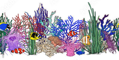 Seamless horizontal border with colorful corals, seaweeds and tropical fishes.