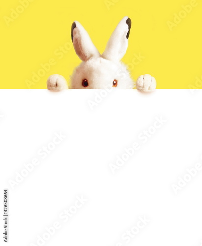 White easter rabbit with sheet for a text writing. Easter concept. © Belight
