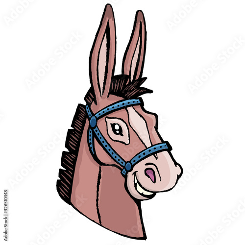 Mule head with a smile
