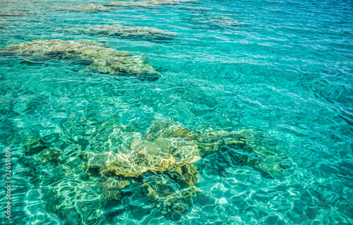 clean nature ecology environment view of coral sea reefs bottom near Israeli south waterfront district Gulf of Aqaba Middle East region background concept