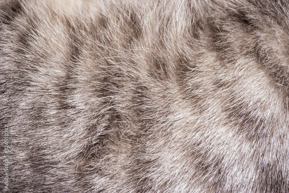 closeup of a fox fur closeup of a fox fur