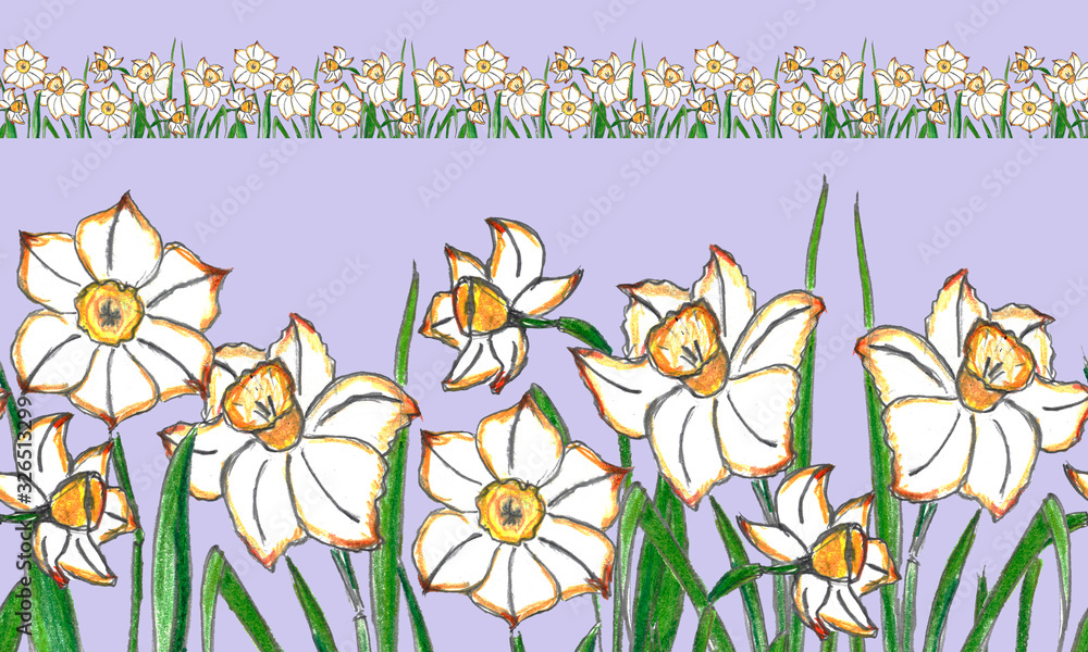 Seamless border of daffodil flowers. Color illustration, handmade