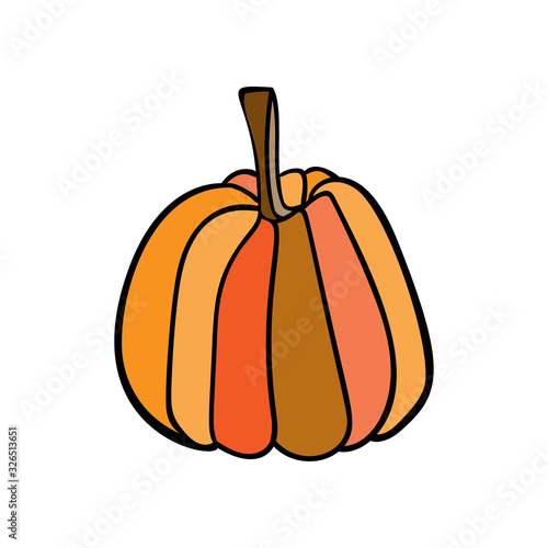 Line drawn ripe orange pumpkin on white isolated background. Single seasonal food object.