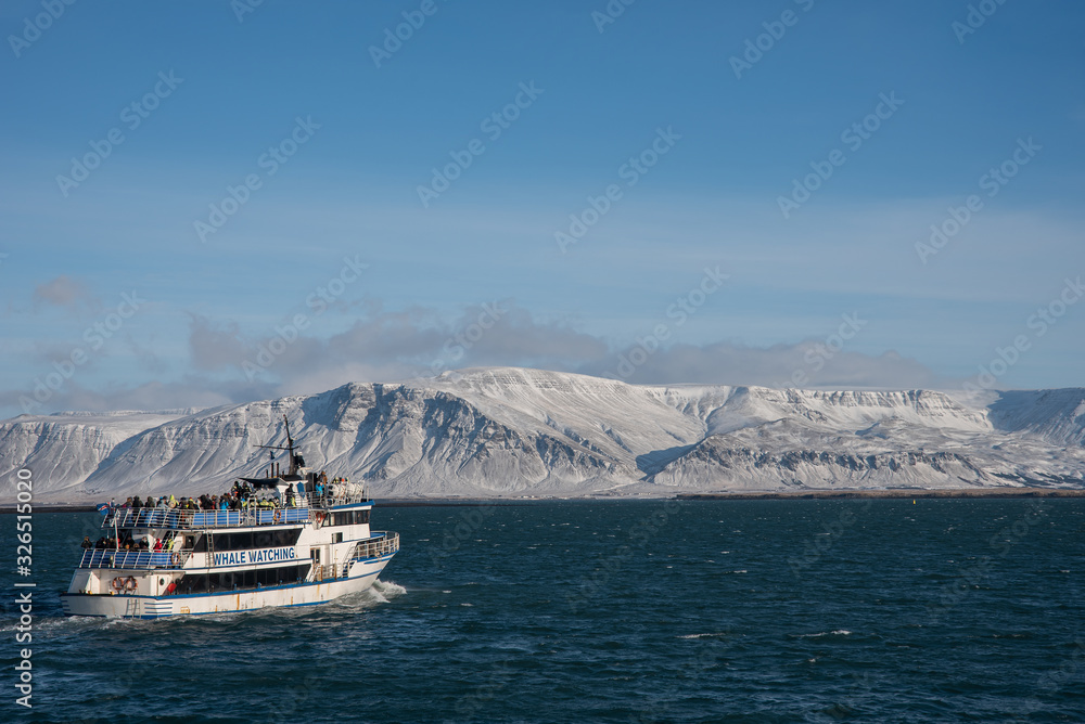 Whale watching boat with tourists in Iceland 