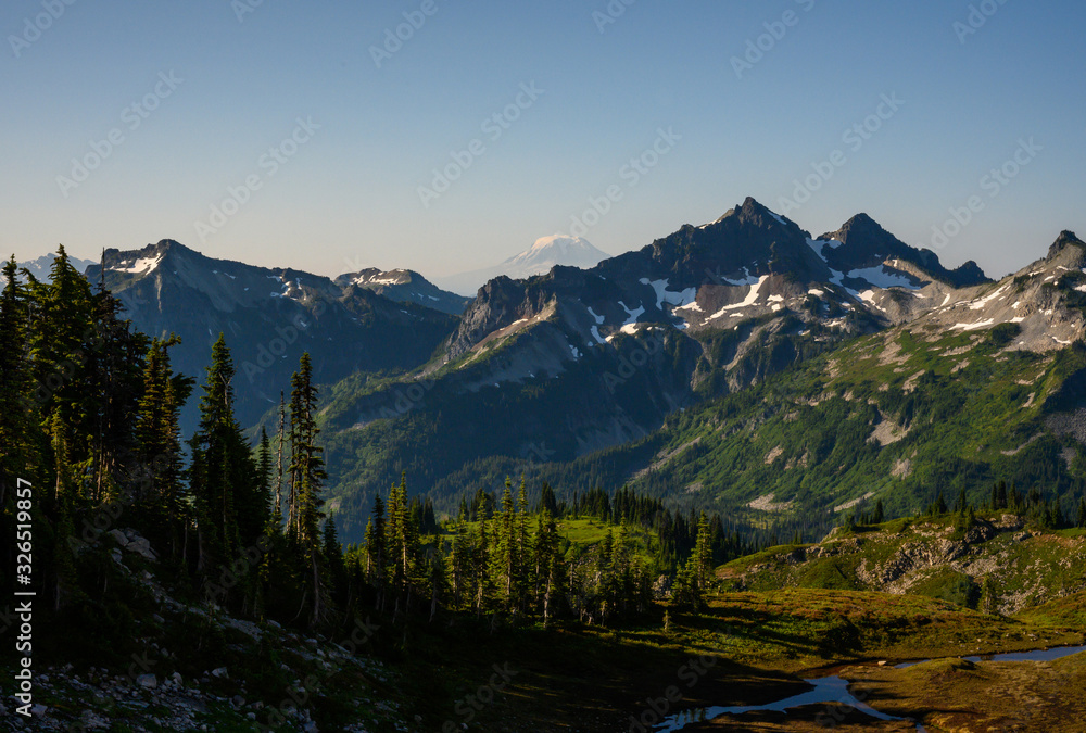 Looking out over Alpine Meadow with Mount Baker