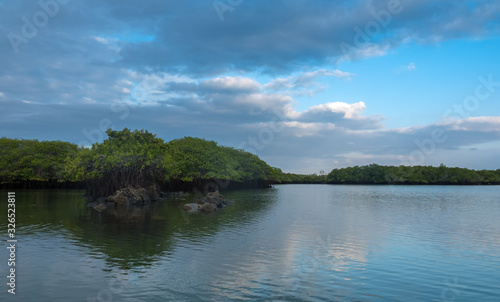 Caleta Tortuga Negra (Black Turtle Cove), Santa Cruz Island, Galapagos Islands, Ecuador