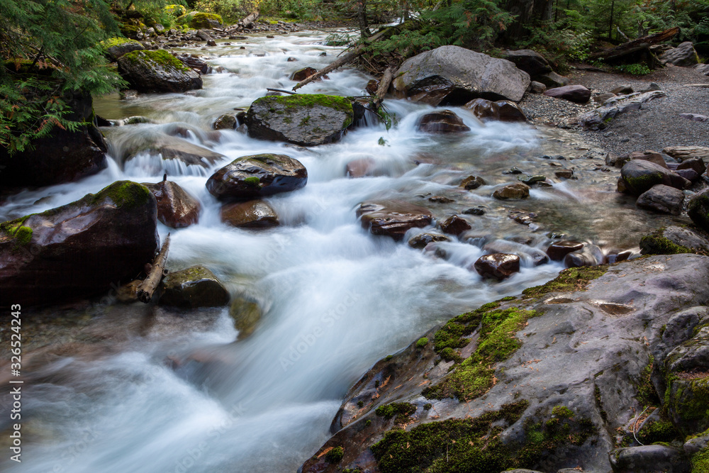 Lower Avalanche Gorge is one of the highlights of hikinh the Avalanche Lake trail in west Glacier, Glacier National Park. Lower Avalanche Gorge is one of the highlights of hikinh the Avalanche Lake trail in west Glacier, Glacier National Park.