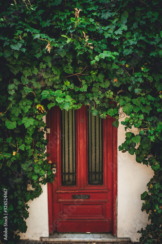 Puerta roja y la naturaleza