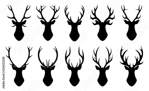 The head of a deer. Set of different deer horns on a white background. Vector graphics in a flat style on a transparent background for web sites