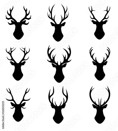 The head of a deer. Set of different deer horns on a white background. Vector graphics in a flat style on a transparent background for web sites