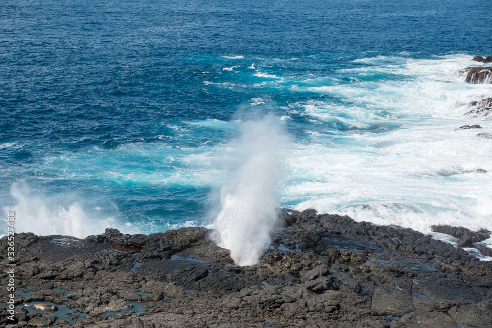The Pacific ocean surf generate huge geyser-line water towers through blow holes on Espanola Island, Galapagos Islands, Ecuador