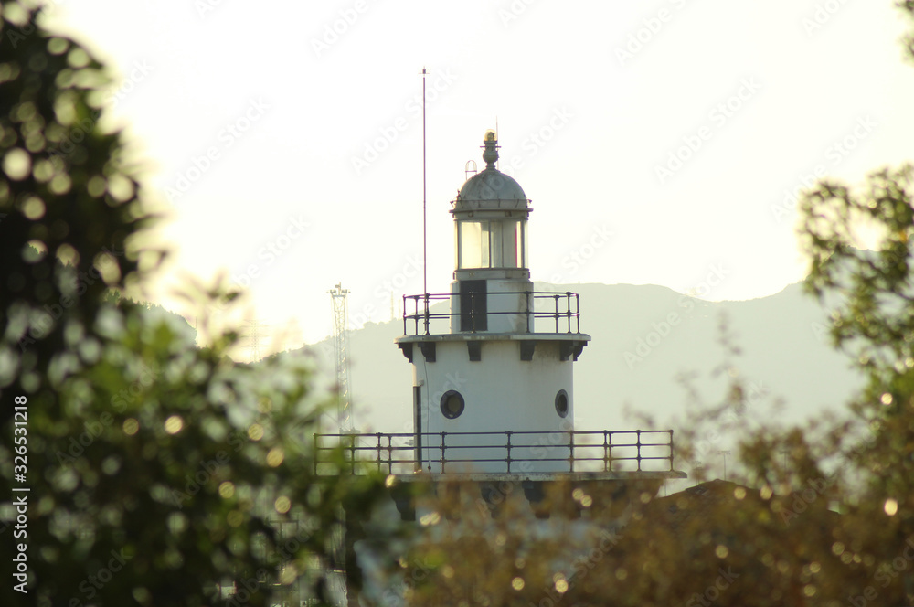 marine lighthouse from the vegetation