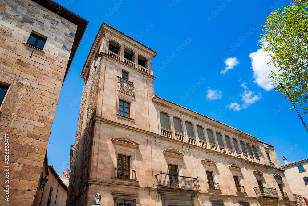 The historical Anaya Tower built on the fifteenth century at Salamanca city center