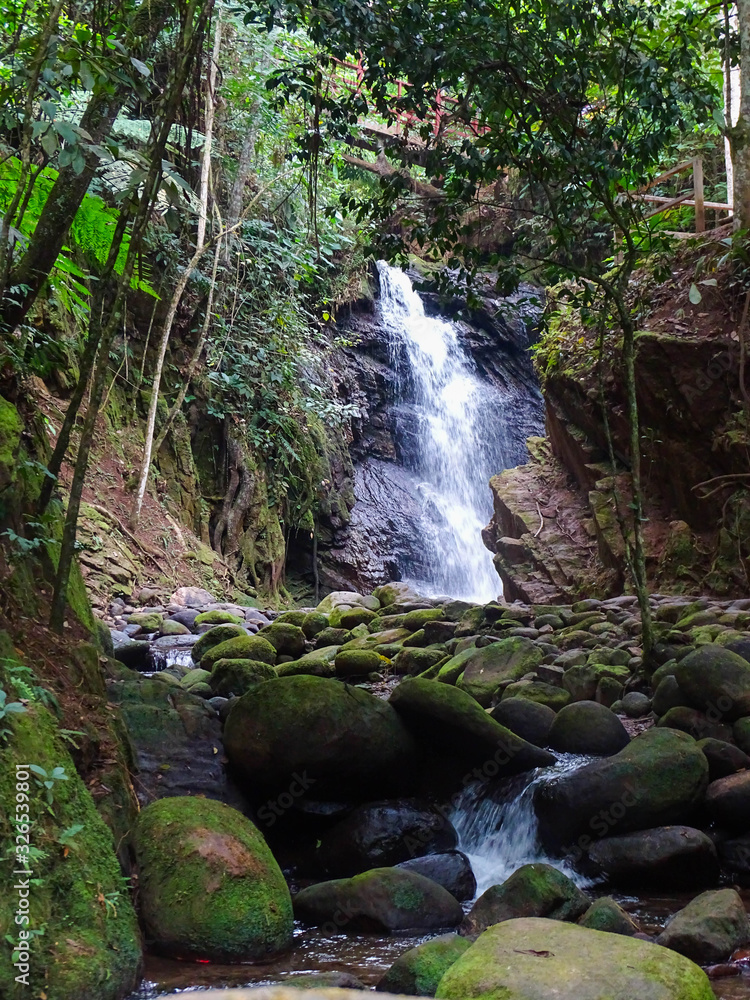 Fototapeta premium waterfall in the forest