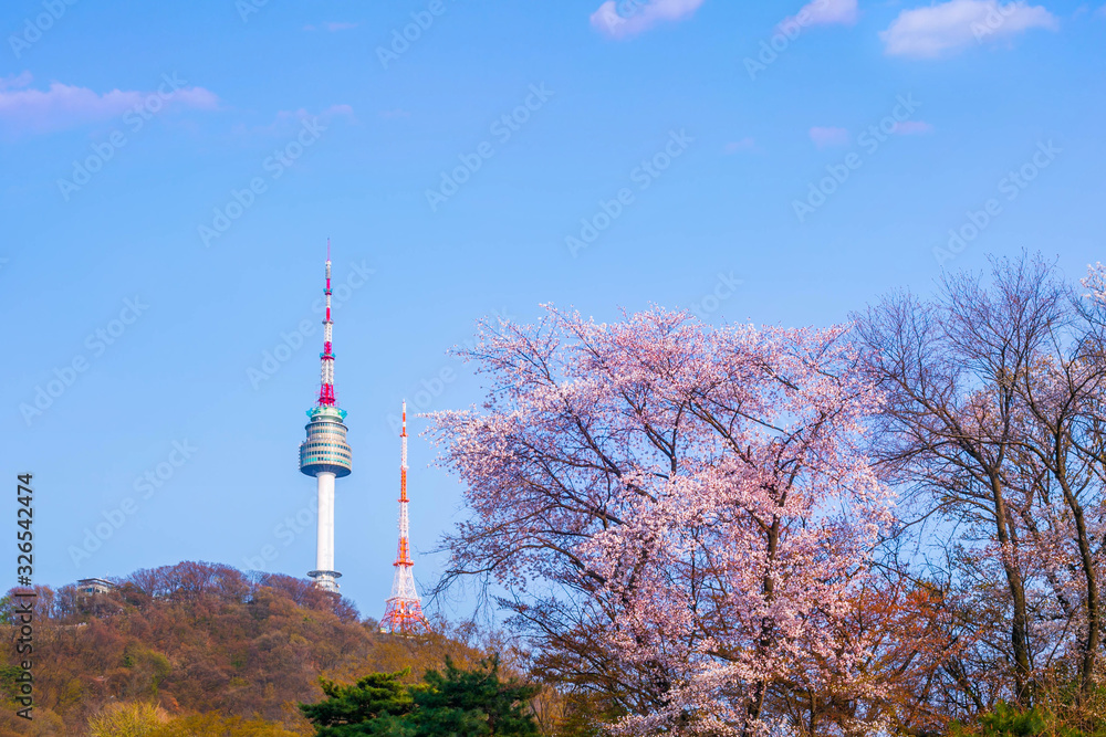 Obraz premium seoul tower in spring with cherry blossom tree in full bloom, south korea.