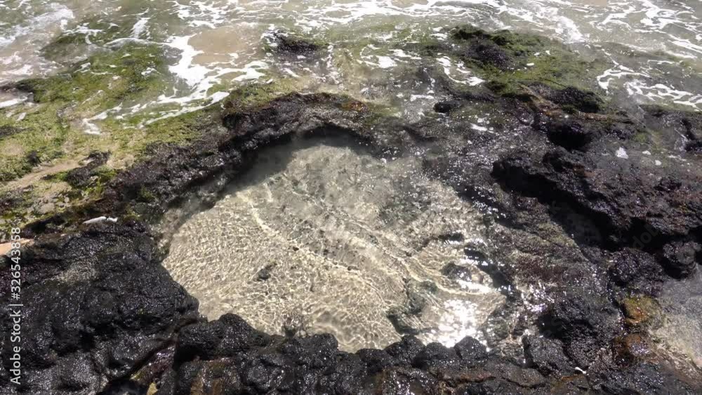 A small, natural, lava pool filled with sand and sea water at Hapuna Beach in Big Island, Hawaii. Small fish swimming inside. 4K. A small, natural, lava pool filled with sand and sea water at Hapuna Beach in Big Island, Hawaii. Small fish swimming inside. 4K.