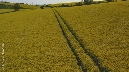 Flight over canola seed fields in Lower Austria, drone flight over agricaltural used farmland photo