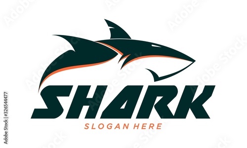 Shark vector logo design