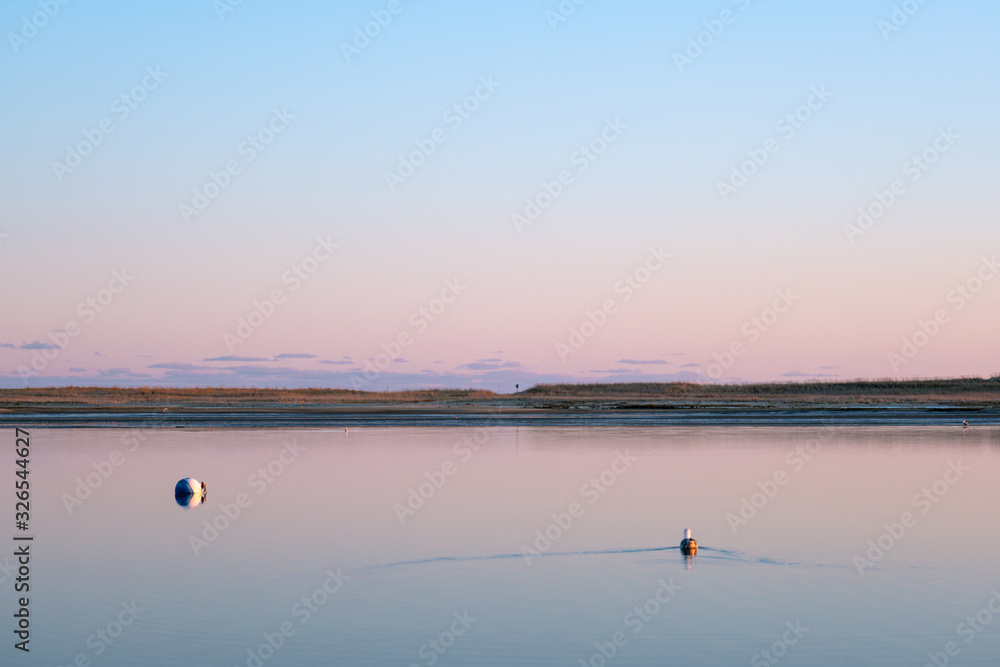 A lone seagull paddles in a harbor under a colorful sunset