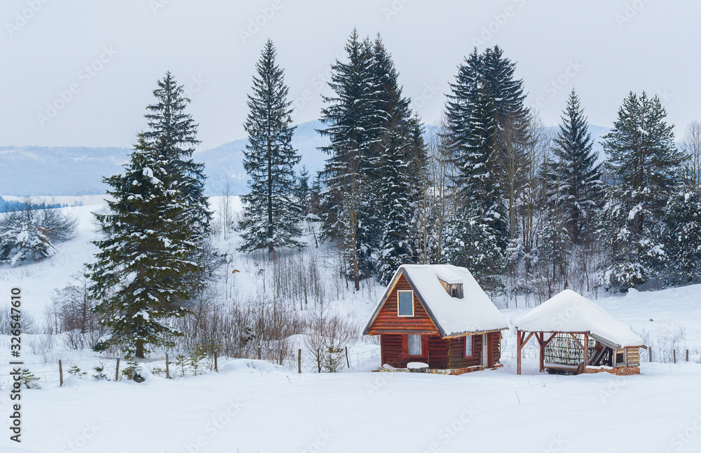 Idyllic winter landscape with small cottage in the middle surrounded with white snow.