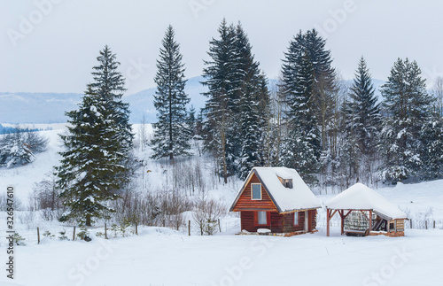 Idyllic winter landscape with small cottage in the middle surrounded with white snow. © DzenanK
