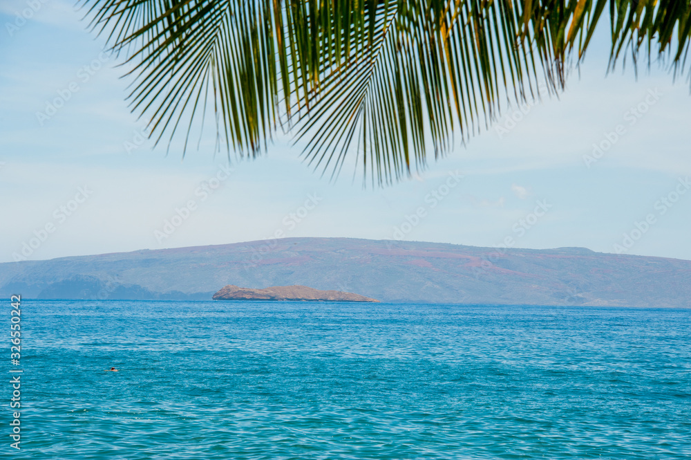 Fototapeta premium The island of Molokini, Maui, Hawaii with Palm Leaves