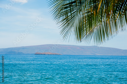 The island of Molokini  Maui  Hawaii with Palm Leaves