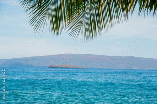 The island of Molokini, Maui, Hawaii with Palm Leaves