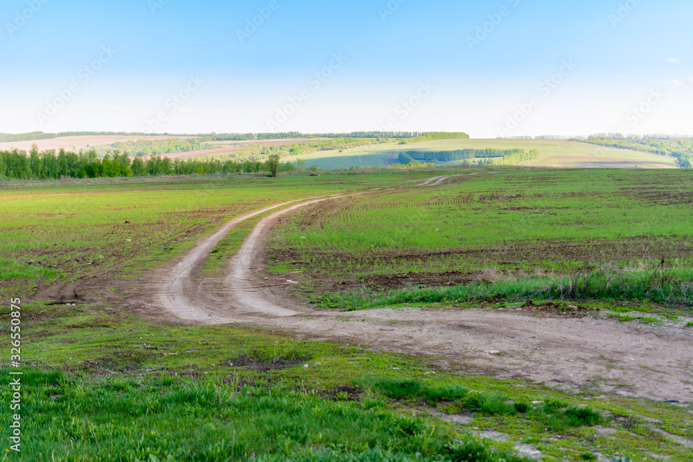 Rural winding road extending beyond the horizon. Fresh spring grass in the fields and meadows on a sunny day. Beautiful landscape.