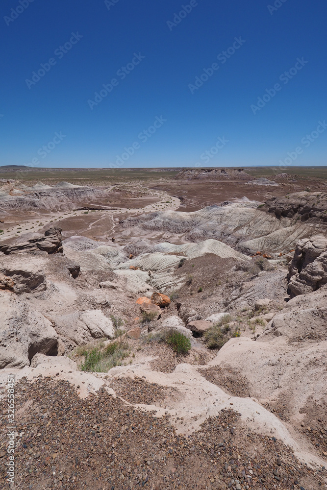 Blue Mesa section of Petrified Forest National Park, Arizona on clear cloudless summer day. Blue Mesa section of Petrified Forest National Park, Arizona on clear cloudless summer day.