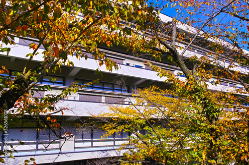 秋の東京都千代田区永田町の国会図書館の景観