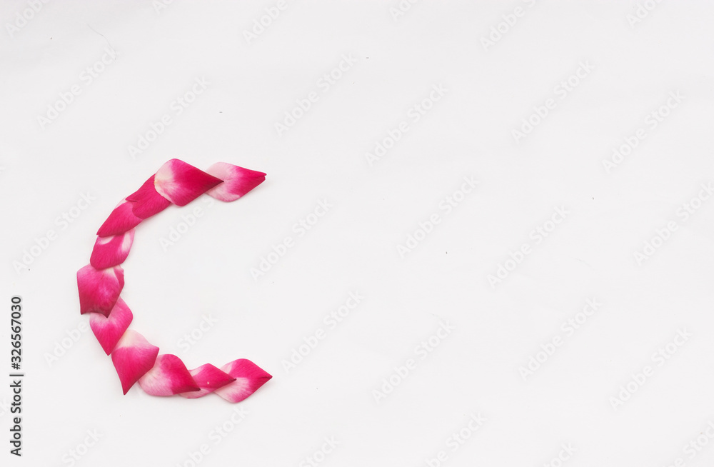 Rose petal letter C Background image, Rose Petal letters, alphabet, characters create using rose petal on white background Rose petal letter C Background image, Rose Petal letters, alphabet, characters create using rose petal on white background