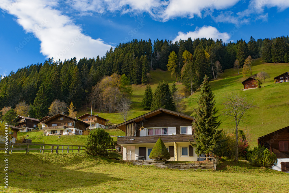 Traditional Swiss style houses on the green hills with forest in the Alps area of Switzerland, Europe
